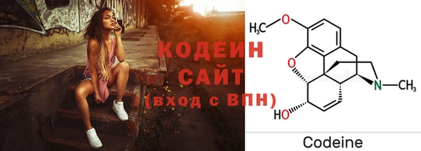 амф Дмитров