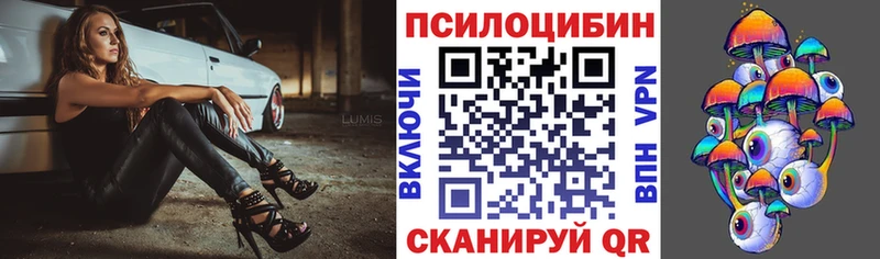 darknet официальный сайт  Зеленокумск  Псилоцибиновые грибы прущие грибы  ОМГ ОМГ вход 